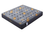 汤池印象:破解行业痛点 打造消费品牌